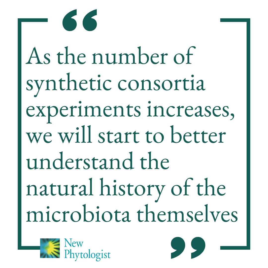 New Phytologist (@newphyt) on Twitter photo #Diversity in the #phyllosphere – greater than the sum of its parts?
📖 ow.ly/POGy50SVQU6
👆 A #Commentary by Briana K. Whitaker on this article by <a href="/BriannaAlmeida4/">Dr. Brianna Almeida</a> et al.
👇
📖 ow.ly/Crb450SVQU8
#LatestIssue <a href="/wileyplantsci/">Wiley Plant Science</a> #Diversity in the #phyllosphere – greater than the sum of its parts?
📖 ow.ly/POGy50SVQU6
👆 A #Commentary by Briana K. Whitaker on this article by <a href="/BriannaAlmeida4/">Dr. Brianna Almeida</a> et al.
👇
📖 ow.ly/Crb450SVQU8
#LatestIssue <a href="/wileyplantsci/">Wiley Plant Science</a>
