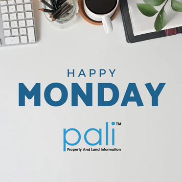 amberpaliltd's tweet photo. Happy Monday from @paliltd! 🎉

Welcome to a new week filled with fresh opportunities and exciting challenges.

#HappyMonday #NewWeek #MondayMotivation https://t.co/kIpBi9kUWj