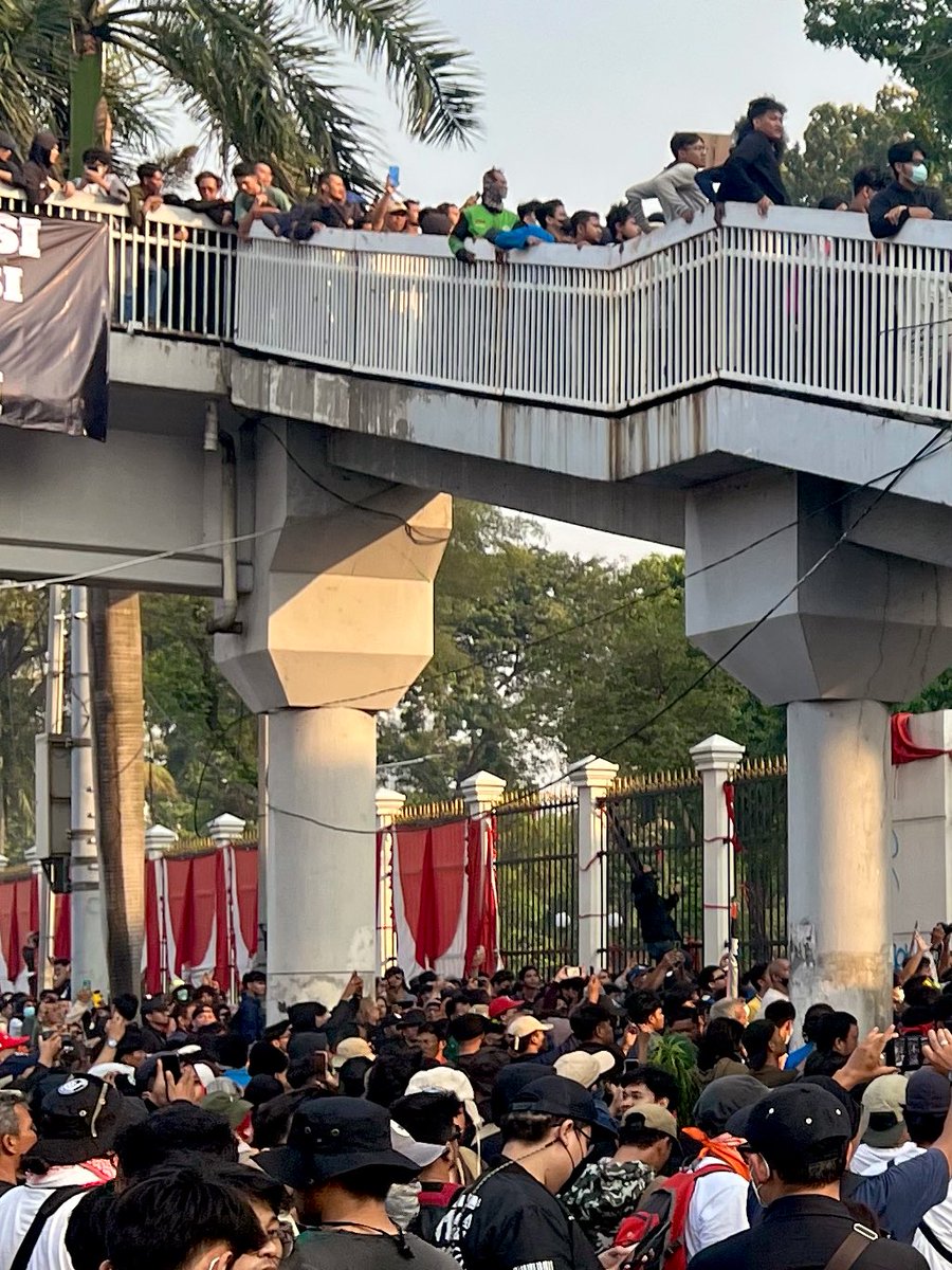 Cania Citta tweet media