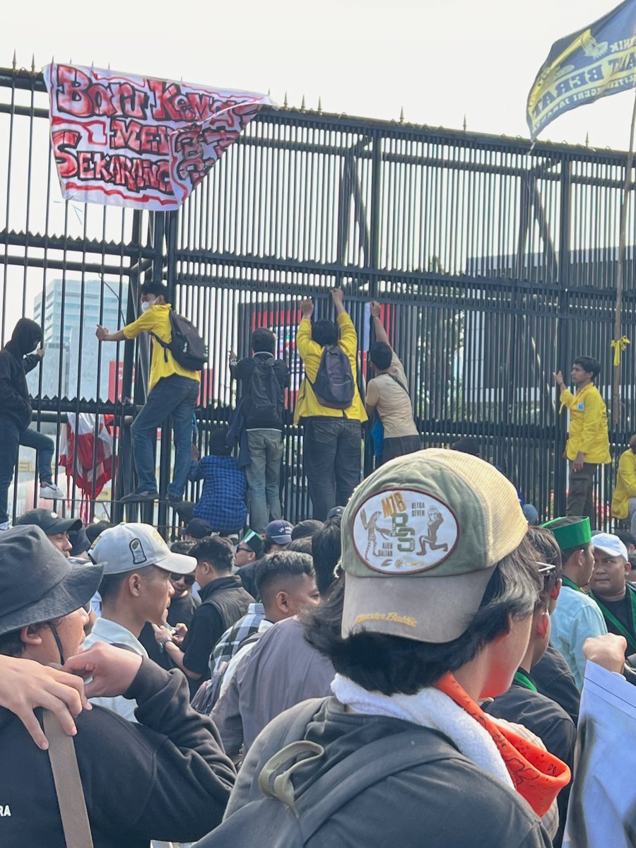 Cania Citta tweet media