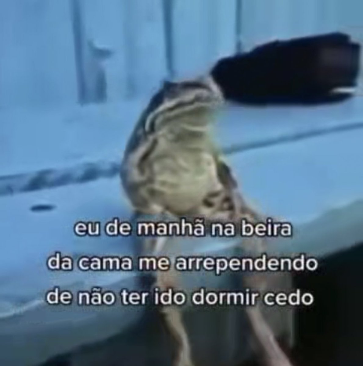 Shitpost só que de verdade (@shitpostverdade) on Twitter photo 