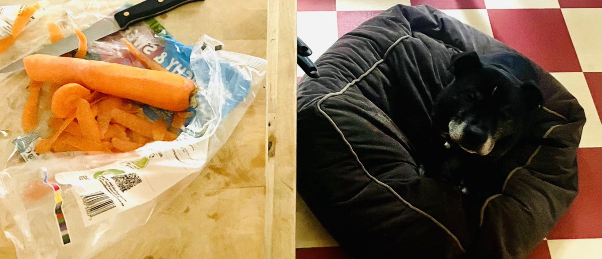 “For if the carrots were to fall, I am seated in the finest place.”                                      Leonard 08:24