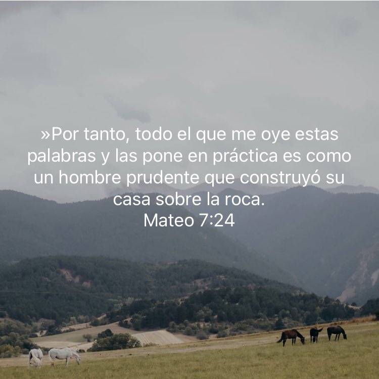 HenryTaylor110's tweet photo. Si has construido tu casa sobre la roca, no temas no caerá; podrá venir cualquier dificultad, pero el Señor te sostiene; créelo y vívelo. https://t.co/uZ0vRpNfLn