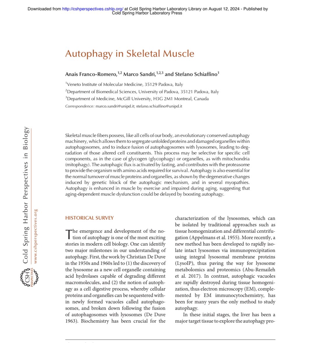 Anaïs Franco tweet media