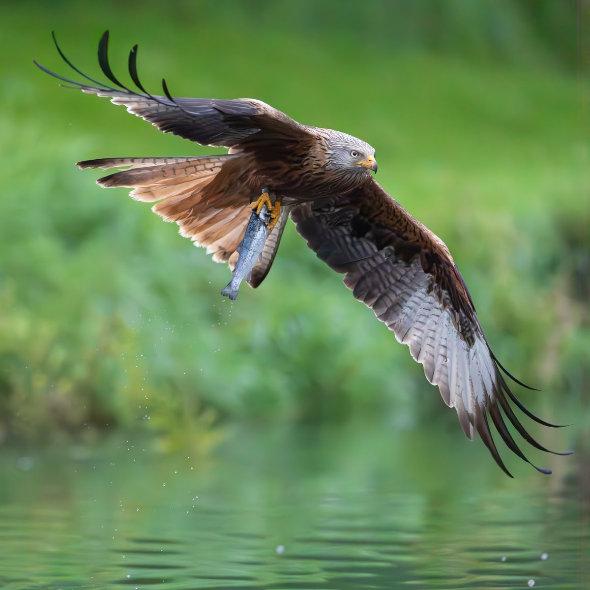 Canon UK and Ireland tweet media