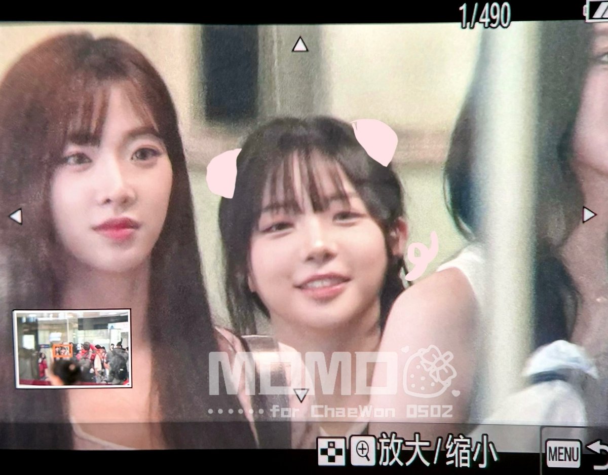 240819 아기돼지🐽🥺

#ChaeWon #tripleS