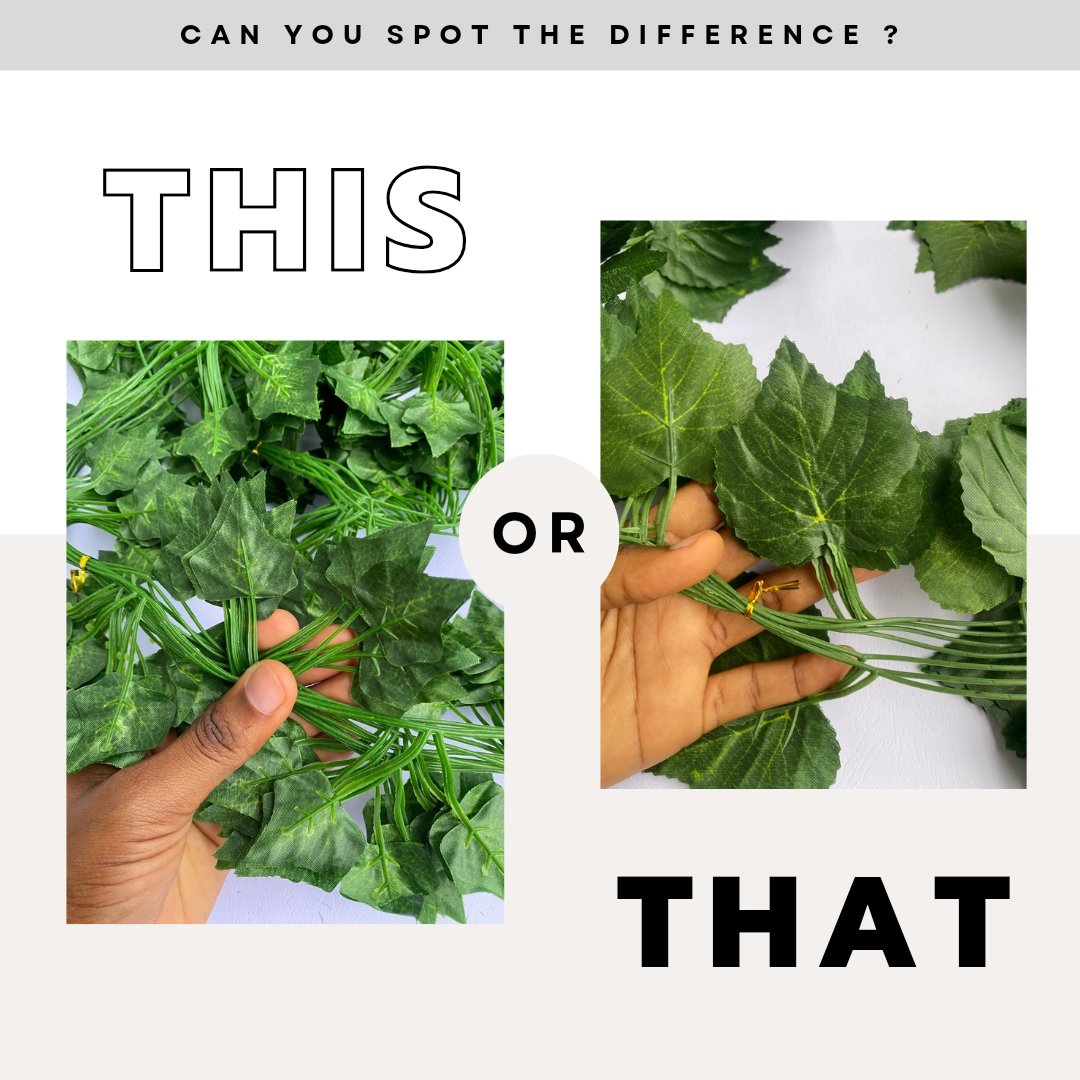 blingrepublic's tweet photo. Did you know that we sell two types of leaf vines?
Same Joe, Minor Differences 😂

One is smaller and has more leaves on a strand but it's the same price

Which would be your pick? https://t.co/Ej8iTeeLc9