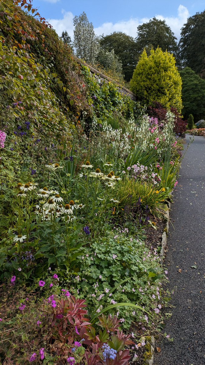 RHS Tender Ornamental Plant Committee (@tender_plant) on Twitter photo Fantastic time at <a href="/N_T_S/">National Trust for Scotland</a> #Threave, especially the walled #garden which was full of productive horticulture, well worth a visit if you're in the area, especially for the #cakes! Onwards to the Garden of Cosmic Speculation 🛸 Fantastic time at <a href="/N_T_S/">National Trust for Scotland</a> #Threave, especially the walled #garden which was full of productive horticulture, well worth a visit if you're in the area, especially for the #cakes! Onwards to the Garden of Cosmic Speculation 🛸