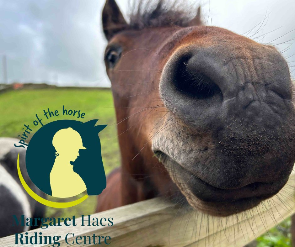 Check out our advert for a Trustee to join the Margaret Haes Riding Centre, a UK registered charity. We are caring, inclusive, professional Centre.  We have a great team that is passionate about improving well being and mental health . 
Full details thefore.org/.../margaret-h…