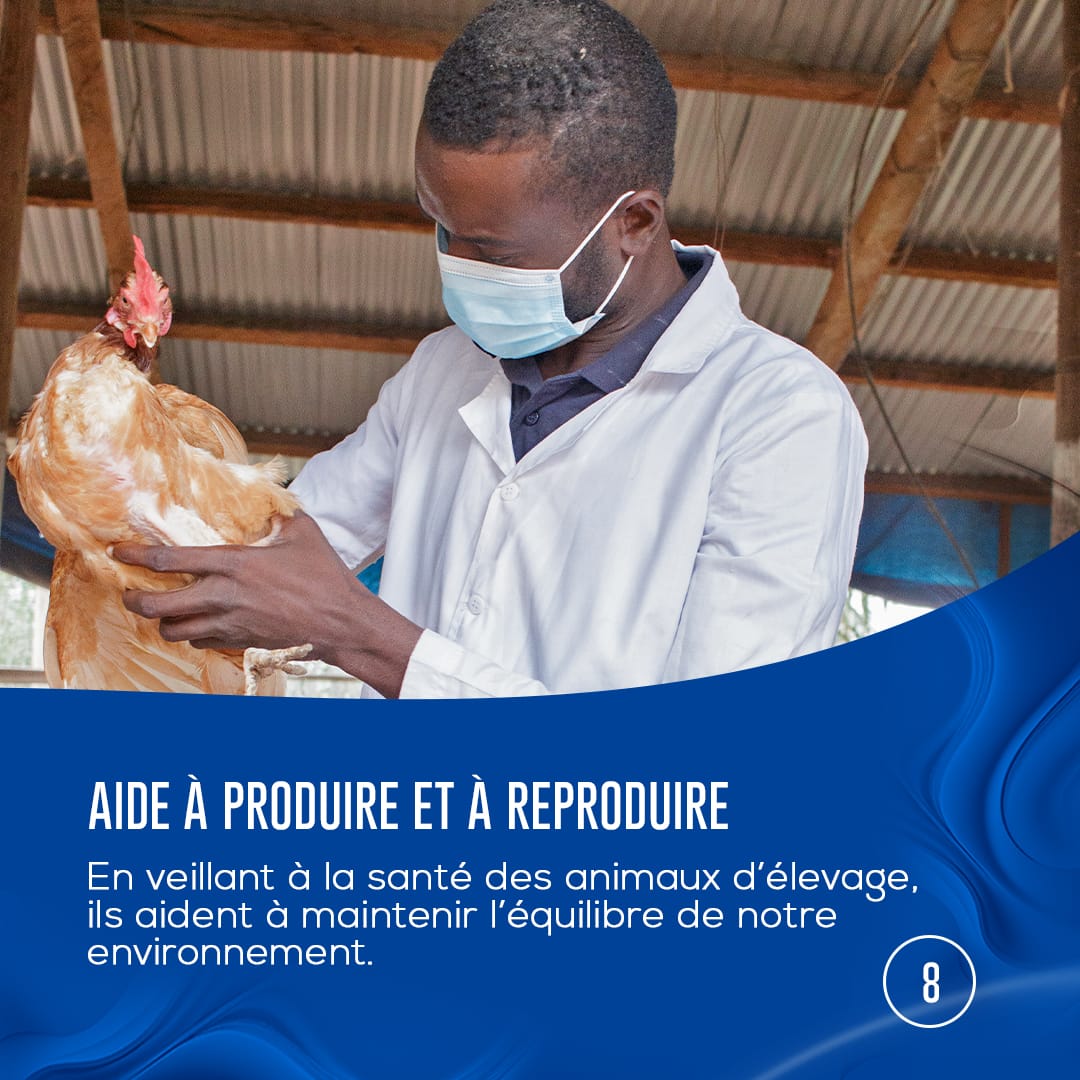 Ordre National des Médecins Vétérinaires du Bénin tweet media
