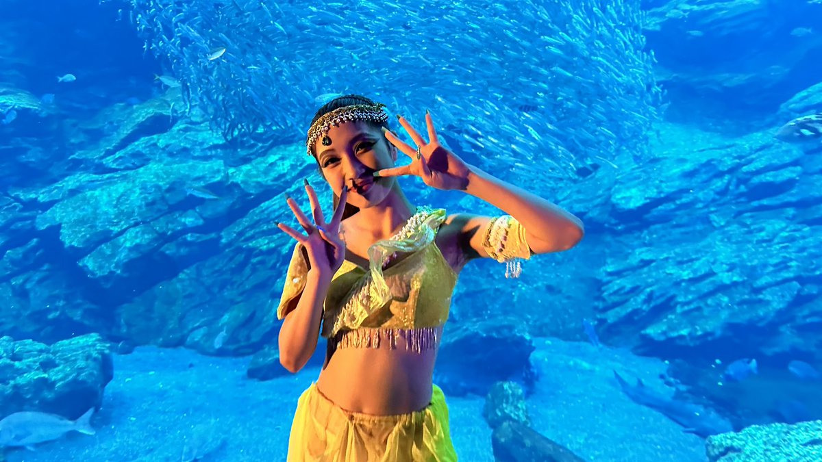 umingle2024's tweet photo. 【今日も輝いた夜🐟】  
本日の公演も無事終了しました🐠🧜‍♂️

来てくれた皆さん、本当にありがとうございました🐳✨

素敵なひとときを皆さんと共有できて楽しかったあ🪸🐬

おかげで舞台も一層輝いたよ🧜‍♂️🏝️

シートピアも残り3公演🥲🧜‍♀️

是非見に来てください！！🏖️🐙

#SEATOPIA ＠sendaiuminomori https://t.co/WCwkKuaukm