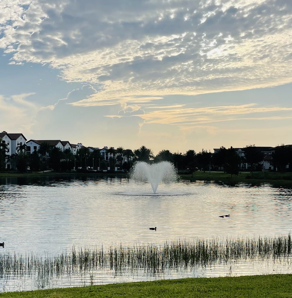 utvoldks's tweet photo. The Work I Put In Today, Will Help Me Grow Tomorrow #LoveMyself #mentalhealth #love #bestlife #Happiness #MentalWellness #walking #Healing #happy #emotions #mornings #healing #healthylifestyle https://t.co/RNe94c41ln
