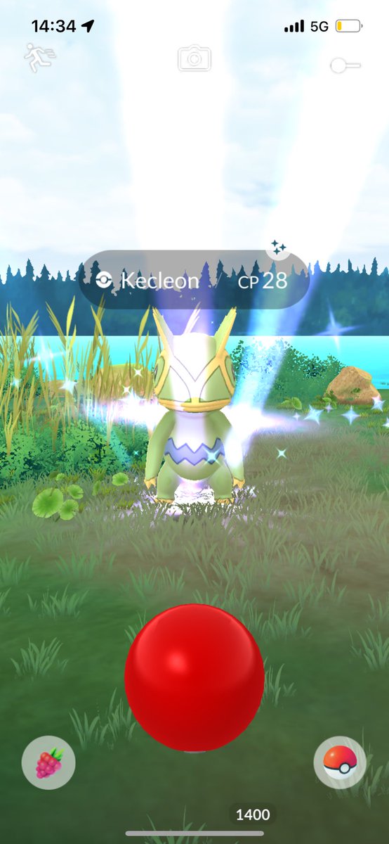 1st shiny Kecleon 😻