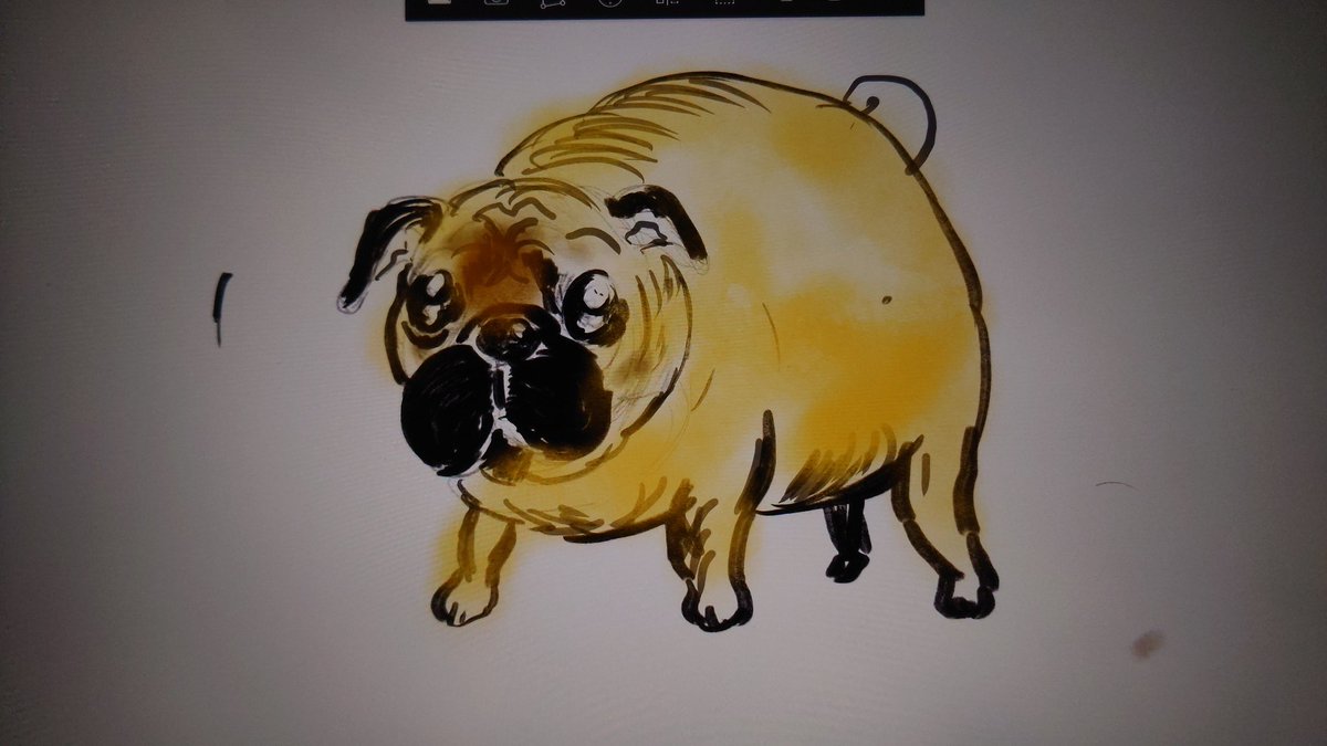 パグお(パグ愛好家) (@pug3ta) / Posts / X