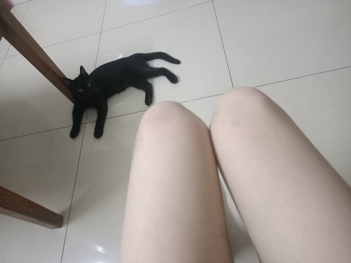 yichen37192620's tweet photo. 小黑猫 https://t.co/EPyQGRvIi2