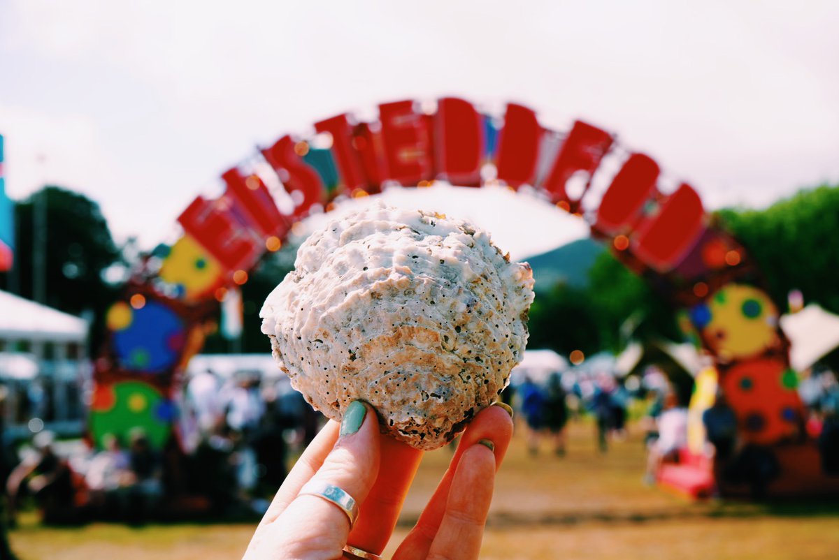 Diweddariad Wystrys Gwyllt Bae Conwy
Mae tîm Wystrys Gwyllt yng Ngogledd Cymru wedi bod yn brysur wrth i’r haf ddechrau! Dyma gipolwg ar ein gweithgareddau diweddar: