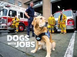 Zelgadis_MJ's tweet photo. Vous venez d'être embauché pour recruter une équipe de chiens talentueux et répondre à l'appel des personnes dans le besoin! #DogWithJobs est un jeu de placement d'ouvriers où vous devrez récupérer des points et devenir le meilleur recruteur de chiens. @Kickstarter #J2S #JdS https://t.co/PT19aPWdKR