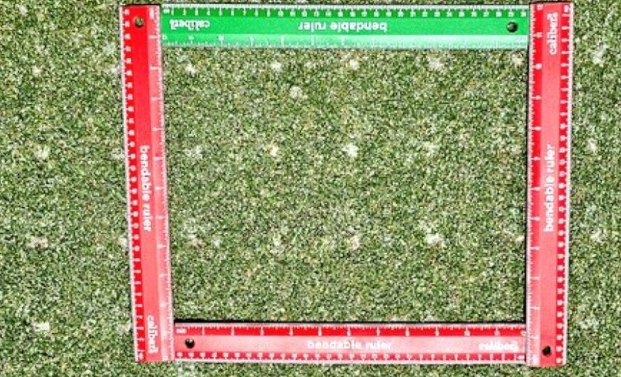 john reilly tweet media