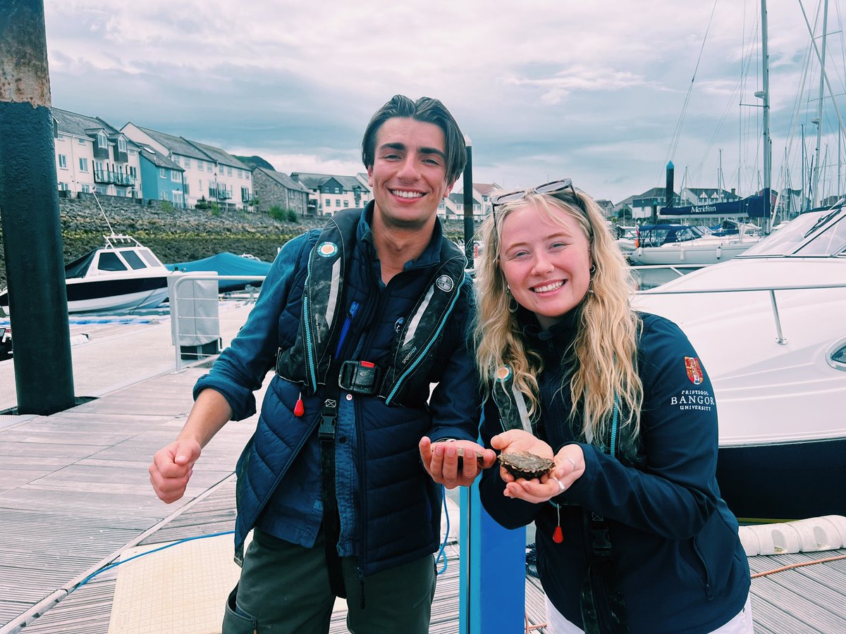 📅 Get Involved:
Next Monitoring Session: Join us on September 25th, 2024! Email Rhianna at rhianna.parry@bangor.ac.uk.
Upcoming Oyster Safari: We're teaming up with Boatfolk for an exciting Oyster Safari at Conwy Marina open to the public. Stay tuned for more details this week!