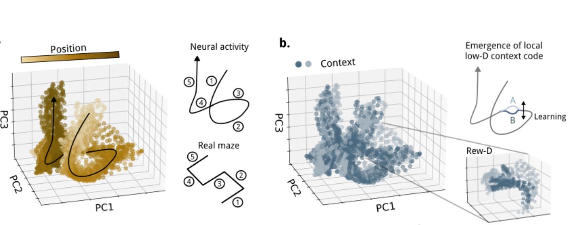 📢📢 preprint alert! 🥳🤓

Hippocampal representation hierarchies are cool! And reshape in a smart way during learning! 

Great job Heloisa Chiossi!! w/ <a href="/michnard_/">Michele Nardin (he/him)</a>, Gašper Tkačik and Jozsef Csicsvari.

biorxiv.org/content/10.110…