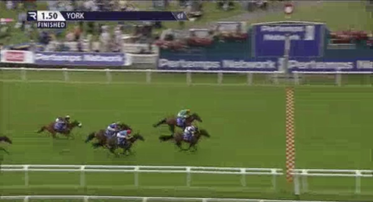 the racing newsletter tweet media