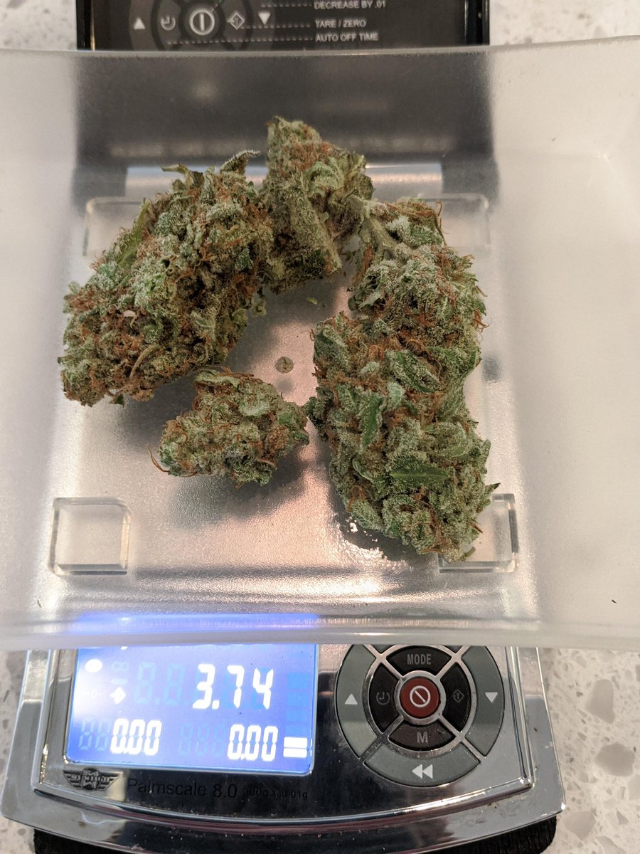 Potluck Crew®: Social Club tweet media