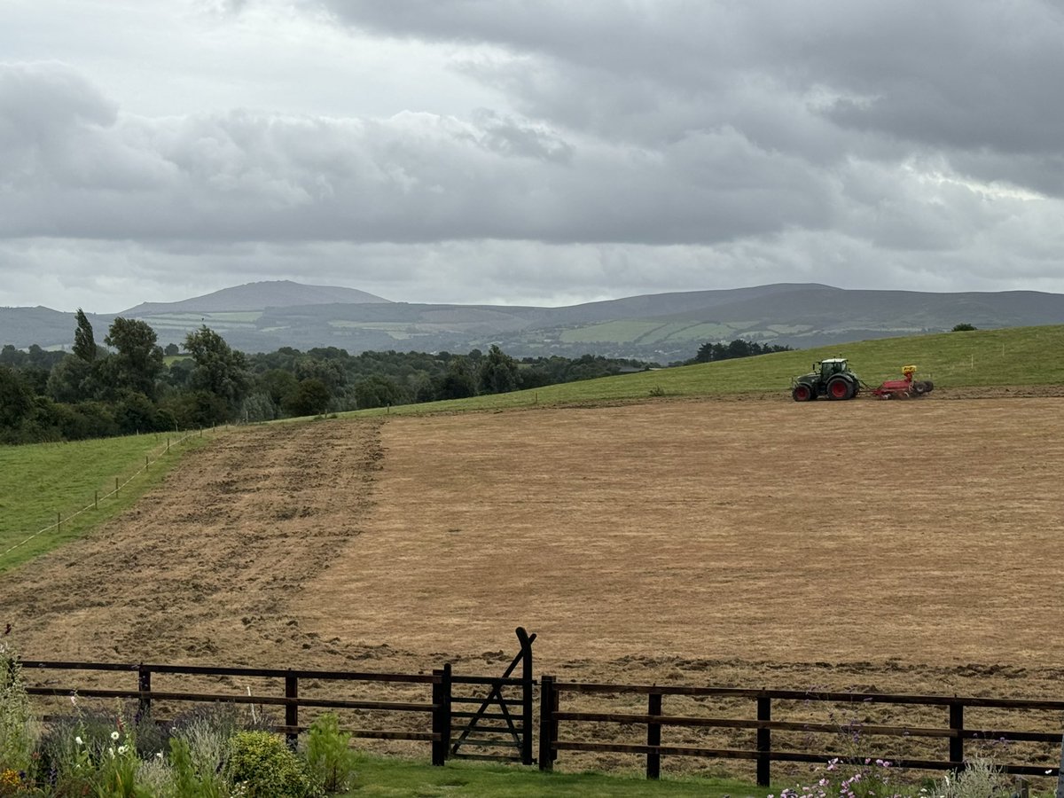 patquirke's tweet photo. This may take some time, the ground is dry and hard! #reseed https://t.co/KnxNO7vSIo