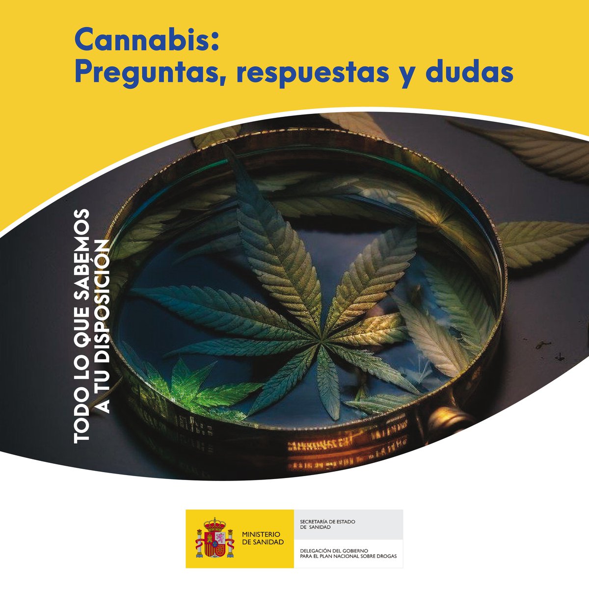 PNSDgob's tweet image. 📗 Consulta nuestro dosier informativo sobre #cannabis.

Preguntas, respuestas y dudas. Todo lo que sabemos a tu disposición.

🔗 Aquí: bit.ly/3UJ602H