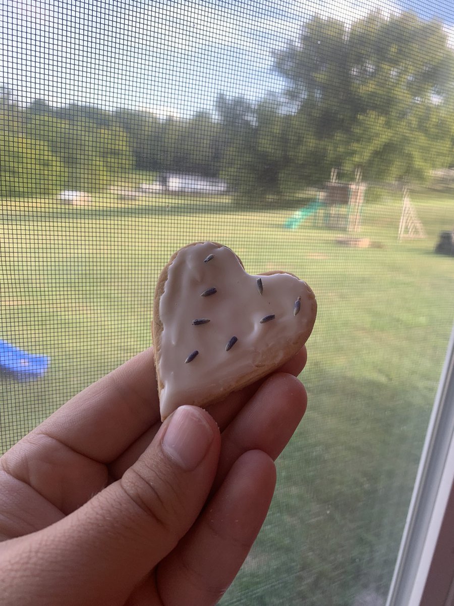 Dan-de-Camp🇻🇦 tweet media