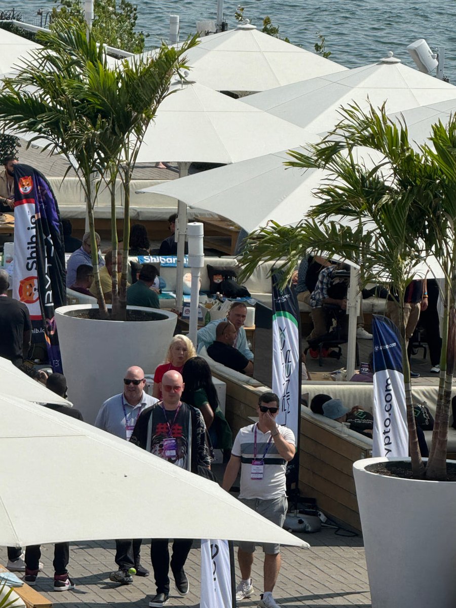 ElphaPex's tweet photo. Here’s a behind-the-scenes look at the #BlockchainFuturistConference 2024! 🎥 
From setting up our cabana to connecting with so many of you, it was a nonstop adventure. We loved every second of sharing our innovations with everyone who stopped by. #ElphaPexTeam https://t.co/flbydDpYma