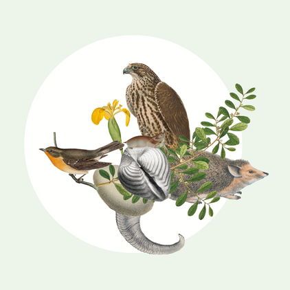 h/t Scientific Society Tethys &amp; Kazakhstan Programme Committee for the UNESCO Program "Man and the Biosphere" (MAB) for their support of the symposium, "Biodiversity data in montane and arid Eurasia."

Limited space: register your interest by 1 Sept:
forms.gle/EALGFPPiNSy3b8…