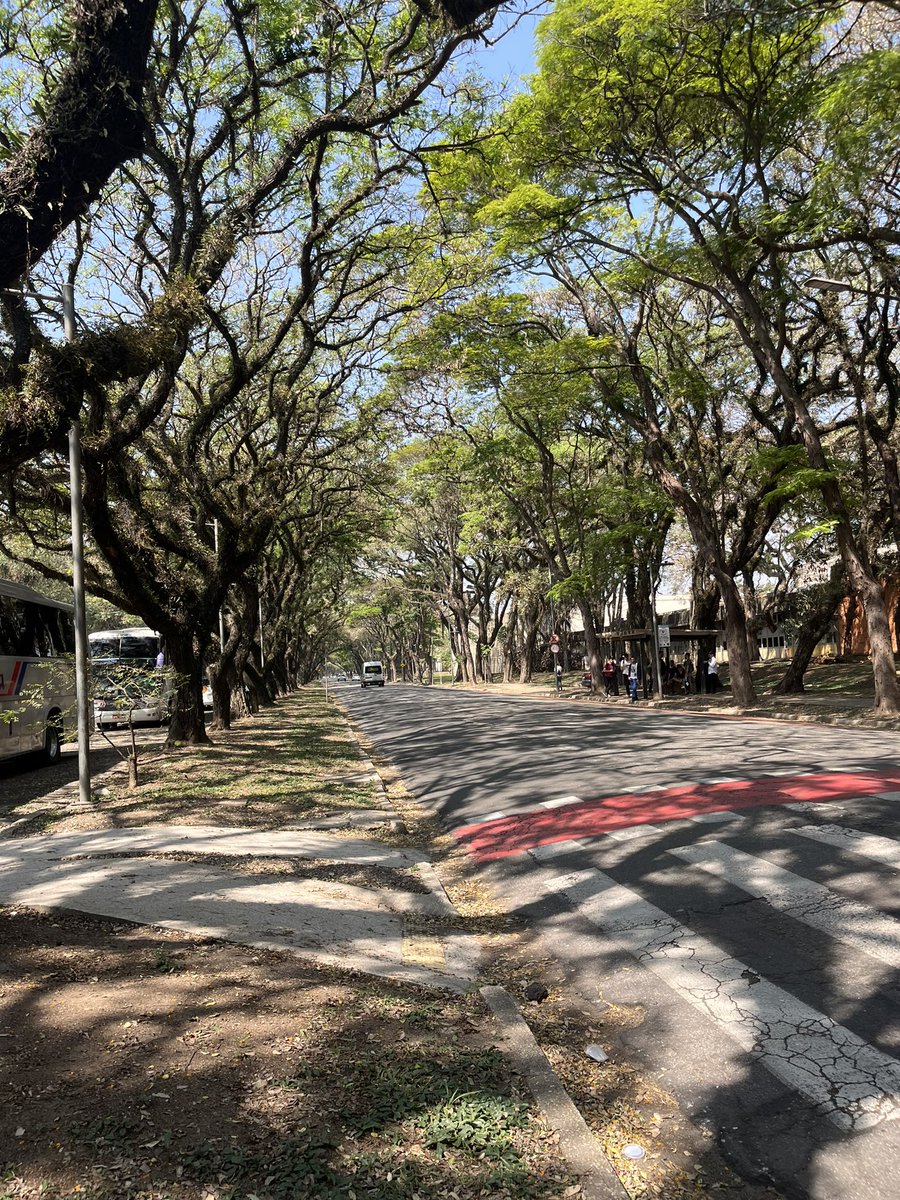 resendejv_'s tweet photo. usp é muito foda, campus lindo demais. 
ru da ufla > bandejão usp https://t.co/lEsIqR4SYE