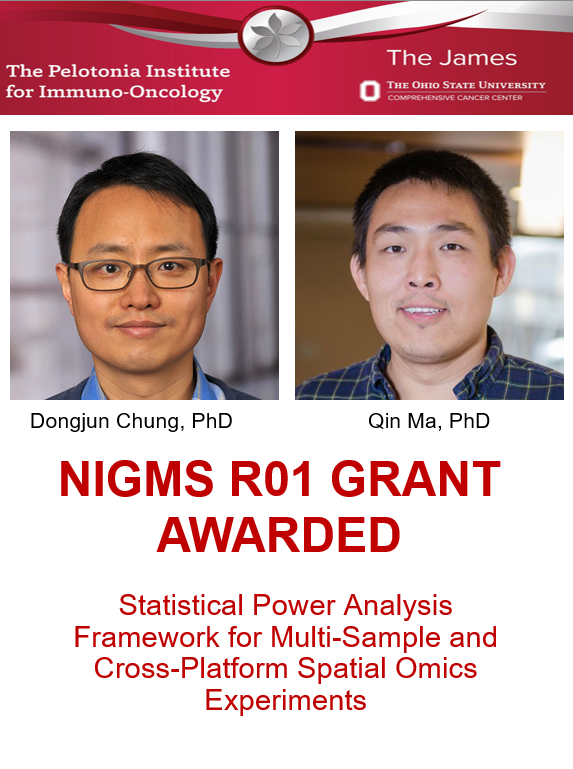 OhioStatePIIO's tweet photo. 🎉 Congratulations to Drs. Dongjun Chung & @QinMaBMBL on their new MPI @NIGMS grant titled "Statistical Power Analysis Framework for Multi-Sample and Cross-Platform Spatial Omics Experiments"! This project aims to enhance #SpatialOmics study design, which is crucial for multi-sample spatial #transcriptomics & #proteomics.