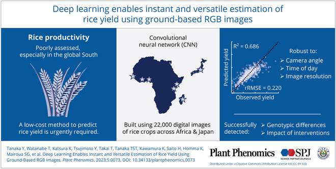PPhenomics's tweet photo. "AI via CNNs predicts rice yield from RGB images, resilient to various conditions. A scalable method for high-throughput phenotyping to enhance crop production. #RiceYield #DeepLearning #Agriculture"
Details: https://t.co/L2uKwsJqvy https://t.co/beZ39b0QW7