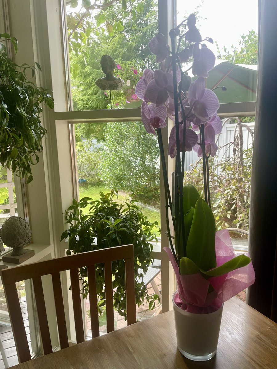 Oona Pirnes-Soininen tweet media