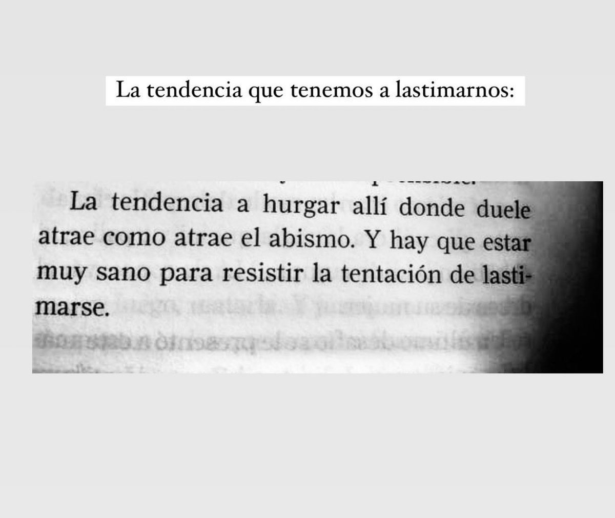 Cementerio De Libros tweet media