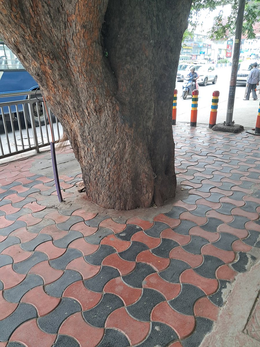 krishna_avs's tweet photo. @GHMCOnline @dobriyalrm @acub_ghmc @DDKZGHMC @HarithaHaram Trees in front of Maitrivanam are covered with concrete which makes them weak.
Please provide living space to them🙏
@vinay_vangala @Ilovehyderabad @UNTGAPS @Praja_Snklpm @NeelimaEaty @HydWatch @ActivistTeja @sai_koushika https://t.co/Dj0W1D3ofF