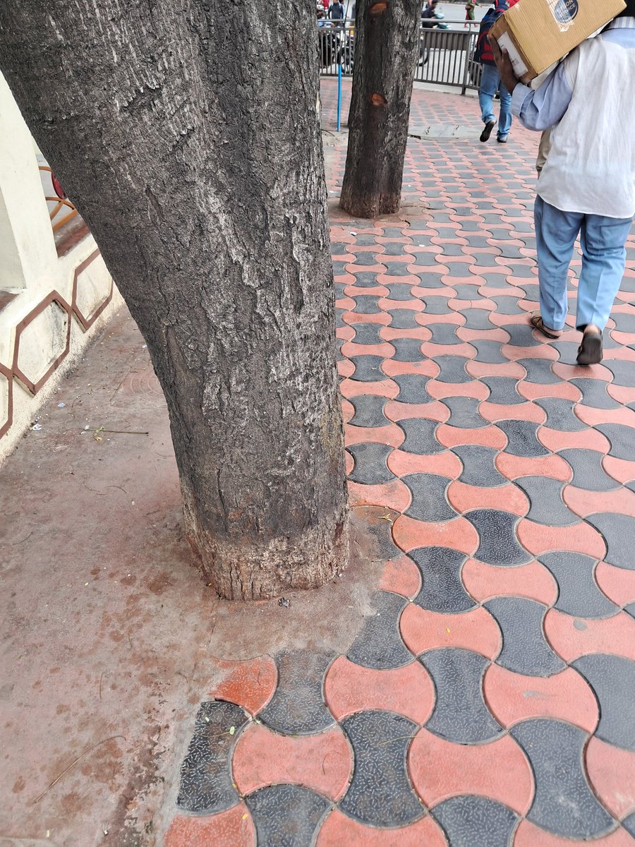 krishna_avs's tweet photo. @GHMCOnline @dobriyalrm @acub_ghmc @DDKZGHMC @HarithaHaram Trees in front of Maitrivanam are covered with concrete which makes them weak.
Please provide living space to them🙏
@vinay_vangala @Ilovehyderabad @UNTGAPS @Praja_Snklpm @NeelimaEaty @HydWatch @ActivistTeja @sai_koushika https://t.co/Dj0W1D3ofF