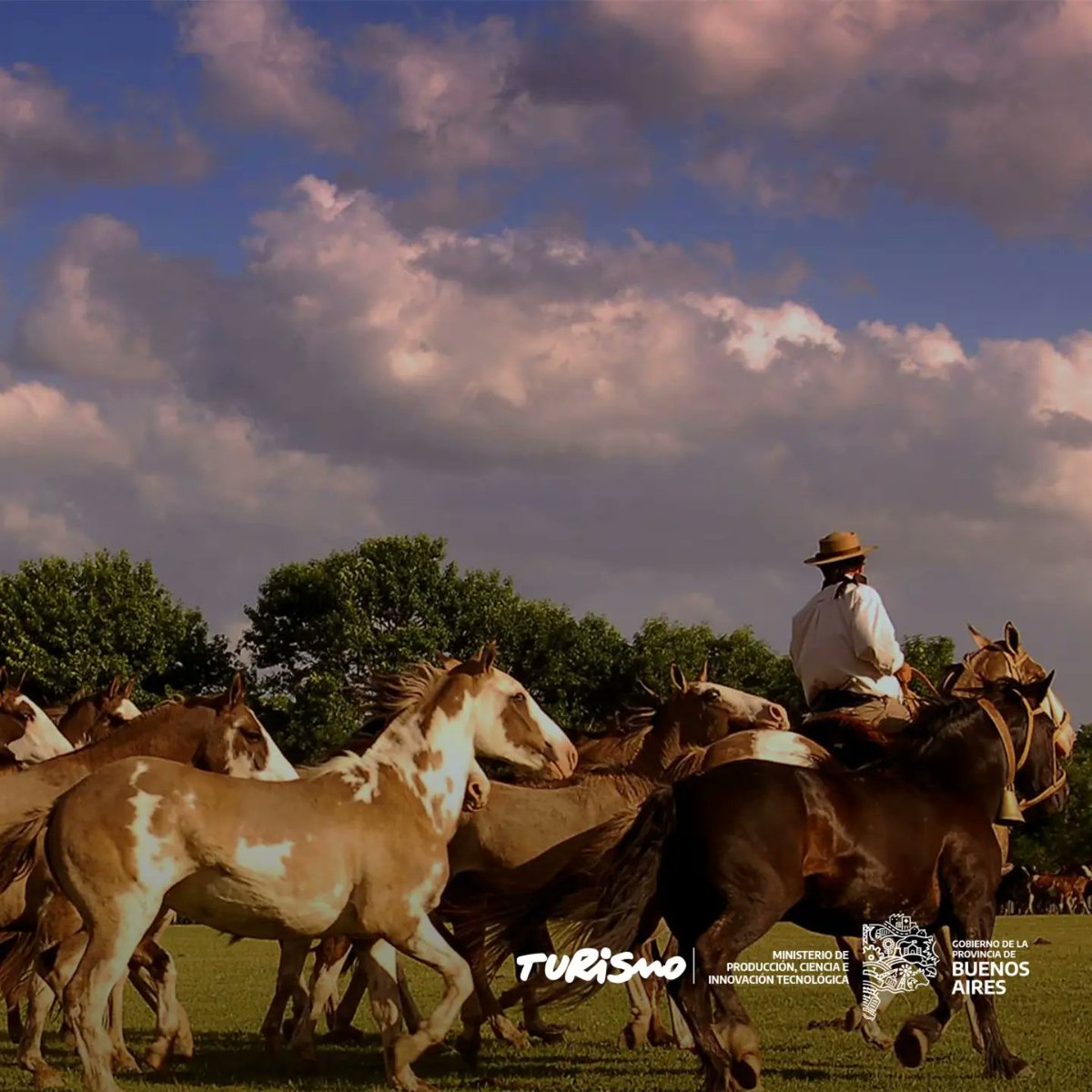 🐴Caminos de Areco, imperdible para disfrutar una escapada 

Arraigo, cultura gauchesca, arquitectura colonial y patrimonio rural.
