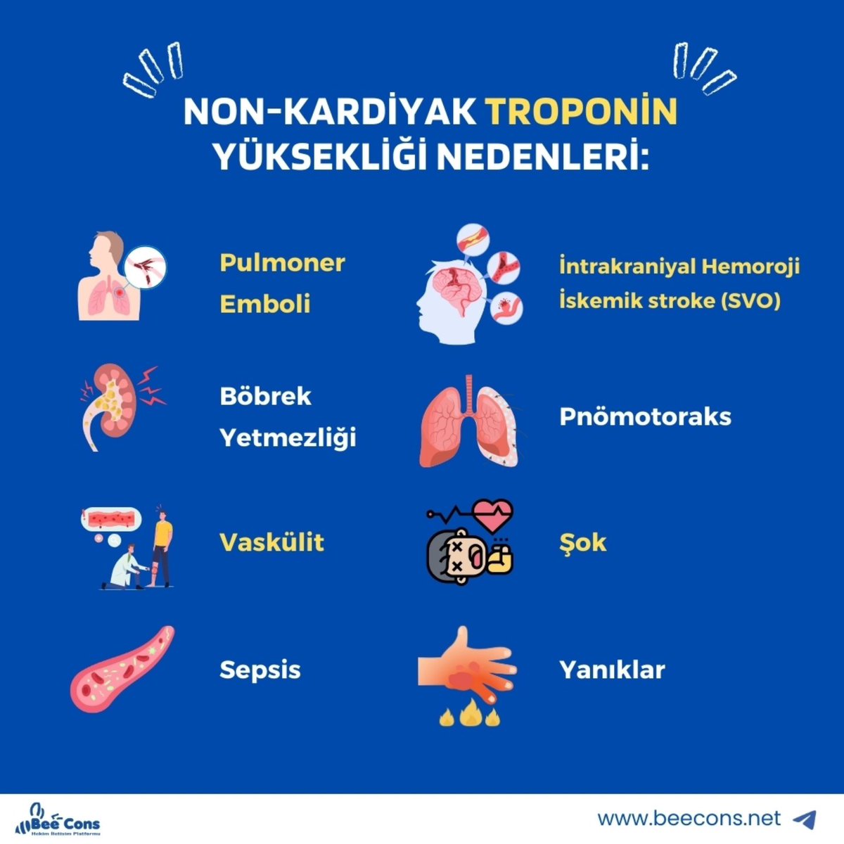 İntern Hekim İletişim Platformu tweet media