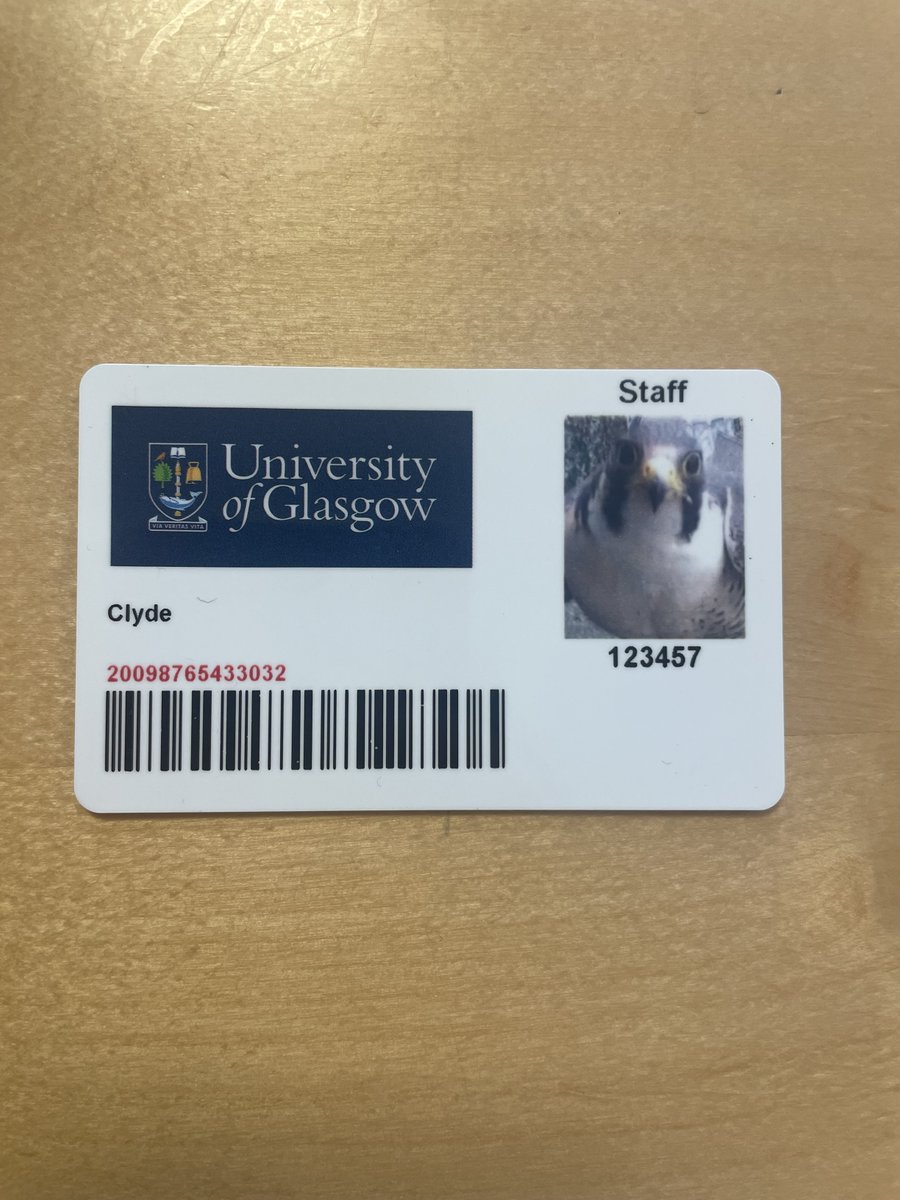 UofG Estates (@uofgestates) on Twitter photo Our <a href="/UofGlasgow/">University of Glasgow</a> Falcon couple have officially been named by our community! 💙
Welcome to #TeamUofG Bonnie & Clyde. Who do you think poses better for a staff picture?🤔 Vote in the poll below!⬇️
#BonnieAndClyde #TeamBonnie #TeamClyde #Falcons Our <a href="/UofGlasgow/">University of Glasgow</a> Falcon couple have officially been named by our community! 💙
Welcome to #TeamUofG Bonnie & Clyde. Who do you think poses better for a staff picture?🤔 Vote in the poll below!⬇️
#BonnieAndClyde #TeamBonnie #TeamClyde #Falcons