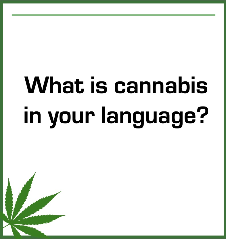cannabishub's tweet photo. Many names for the plant... https://t.co/kfGqWwqWzz