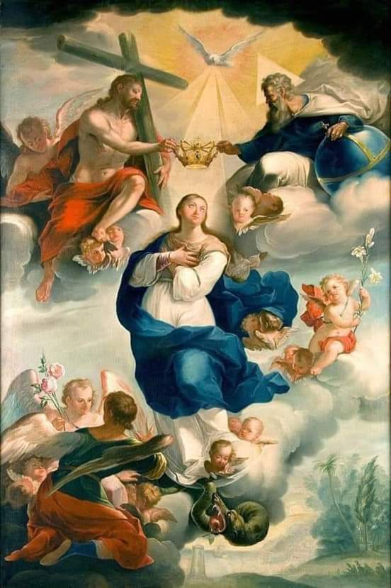 ArcanjoRito's tweet photo. SANTA MARÍA, REINA 

¡Oh María Inmaculada estrella de la mañana que disipas las tinieblas de la noche oscura, a Ti acudimos con gran confianza! https://t.co/EemiwebQ5L