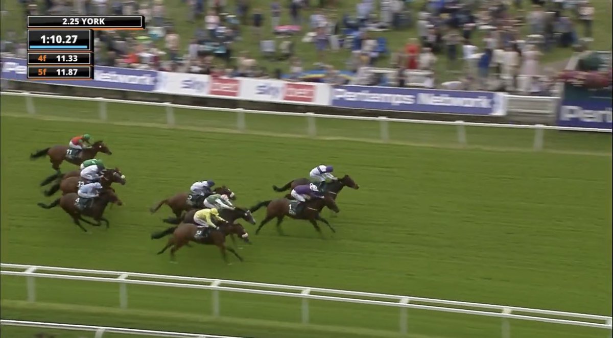 equinties's tweet photo. Gambled on debut like he couldn’t lose, its safe to say DILIGENTLY has been a huge let down this season for connections when they thought they had a monster.  

He suddenly turns up when needed most and the biggest pot of the year. https://t.co/HsVqIDmio2