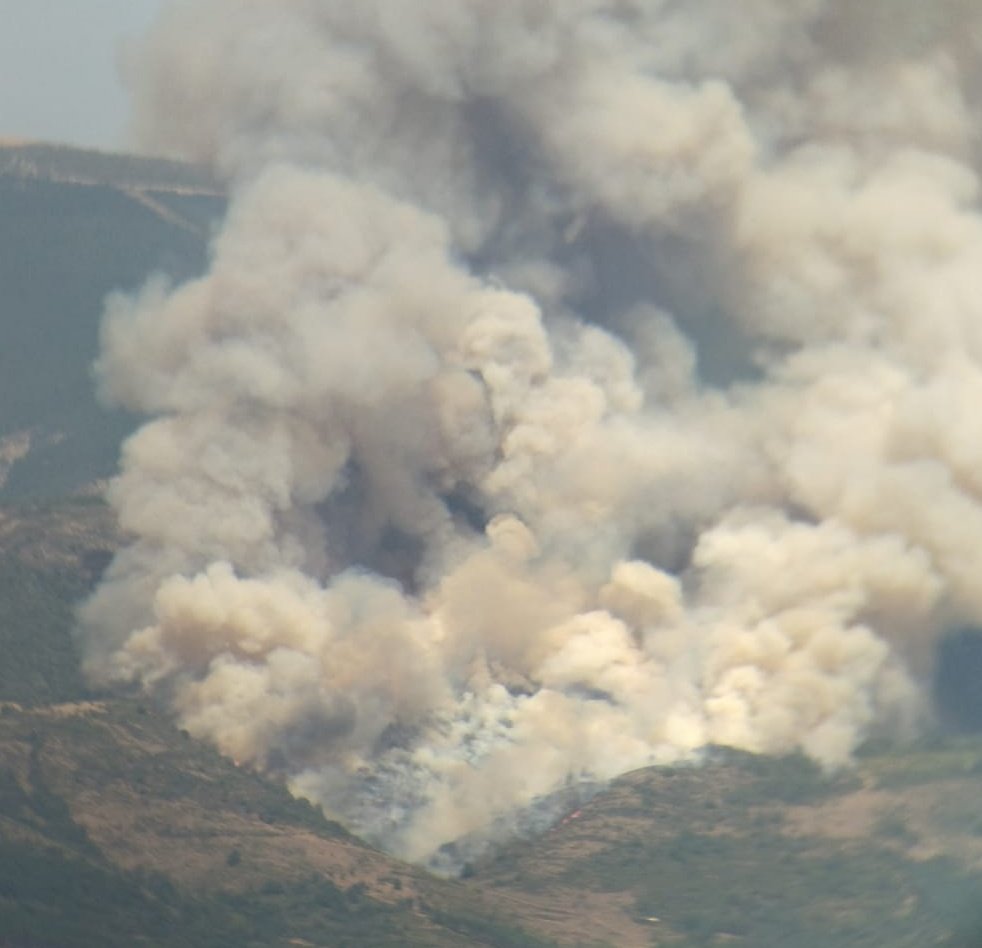 Incendios Forestales Castilla y León tweet media