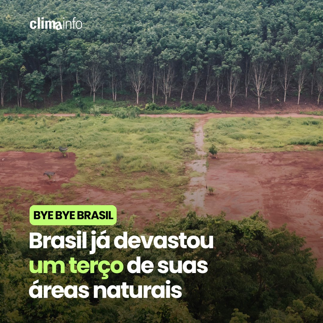 ClimaInfoNews's tweet photo. Chegou ele, mais um boletim do @mapbiomas com dados preocupantes: a perda histórica de áreas naturais no Brasil já representa pelo menos 33% do território nacional. O destaque é não só pelo número, mas pela velocidade da destruição: 13% dessa fatia vem de 1985 até o presente.🧵 https://t.co/C2TMHmpJQF
