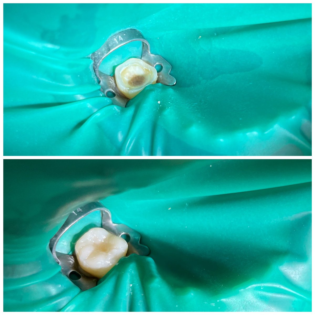 Nawaf Alhumizi. tweet media