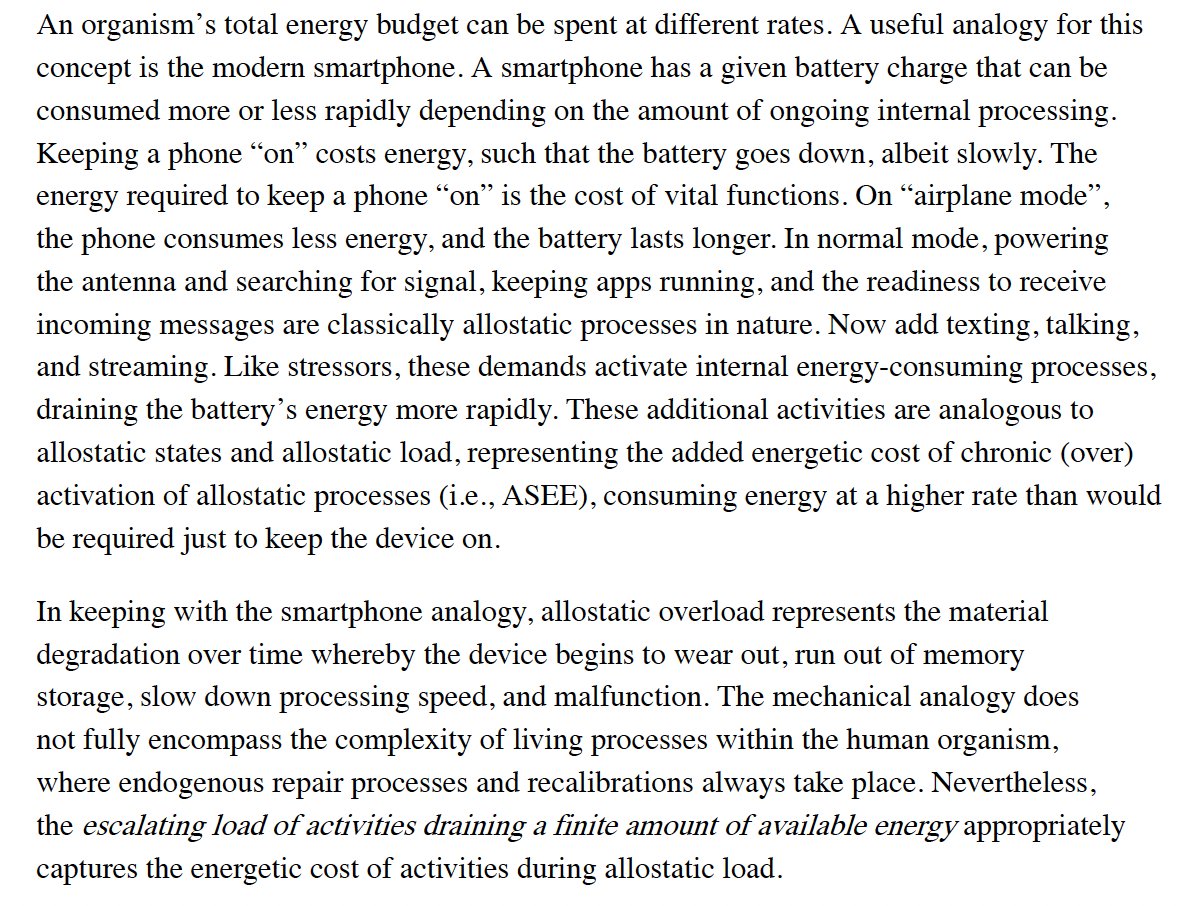 Sophie Herzog tweet media