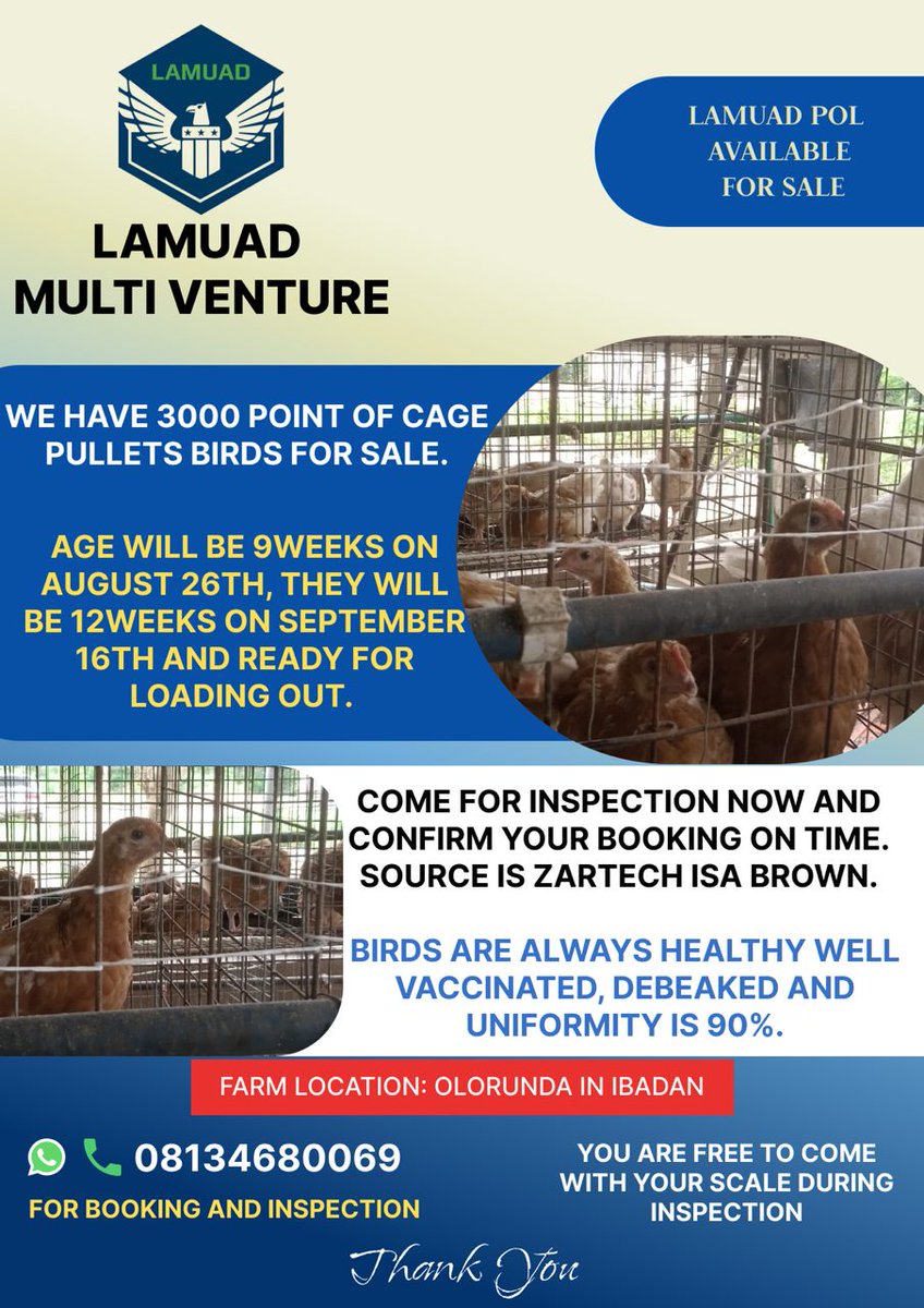 LAMUAD MULTI VENTURE tweet media