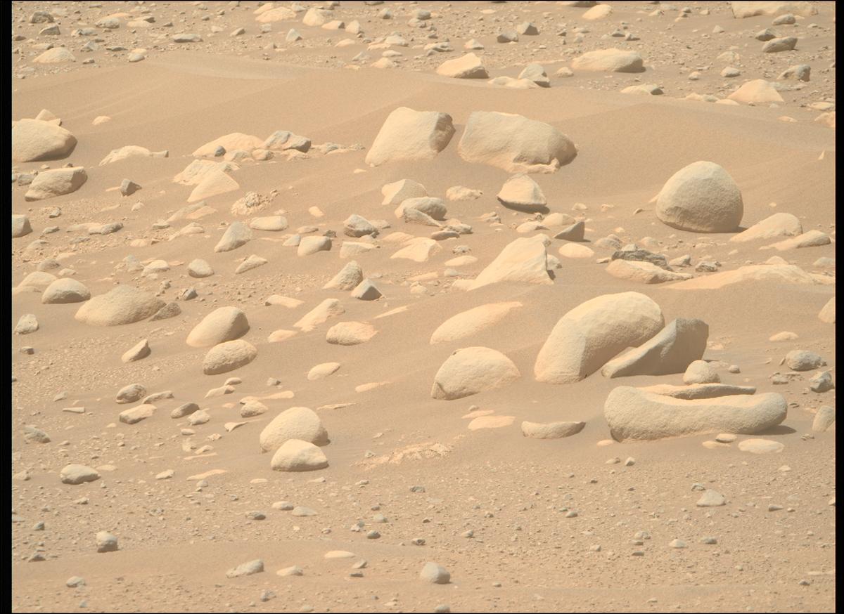 MarsMissionImgs's tweet photo. #PerseveranceRover image taken on #Sol873 at 12:44:48.748 PM with #MastcamZ #Mars #NASA #Space https://t.co/UVSUKTY5Lm